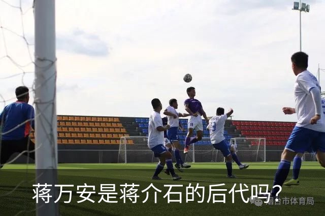 蒋万安是蒋介石的后代吗？